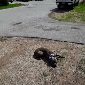 Meet your Posher, Brian